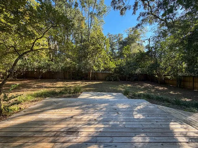 a view of a yard with plants and large trees