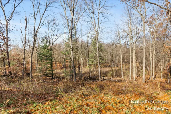 $375,000 | 8965 Vergennes Street Southeast, Ada, MI 49301