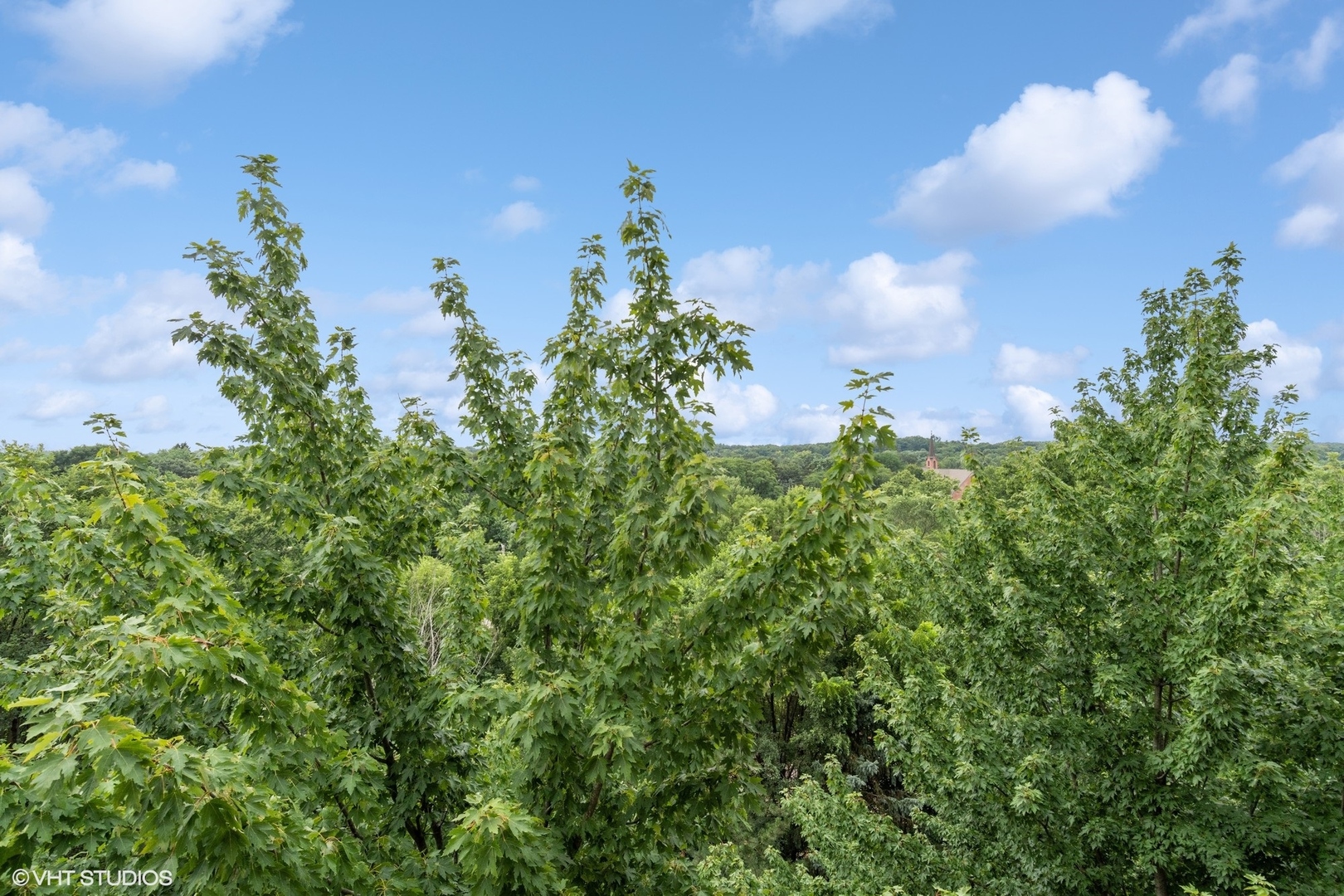 -s099 Lee Court, Unit 401 Winfield, IL 60190 - Photo 17 of 19 a backyard of a house with lots of green space