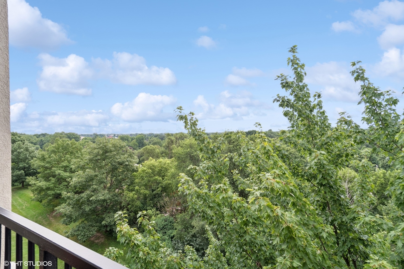 -s099 Lee Court, Unit 401 Winfield, IL 60190 - Photo 18 of 19 a view of a garden