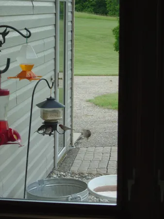 $1,149,000 | 19800 Stephan Drive, Starbuck, MN 56381