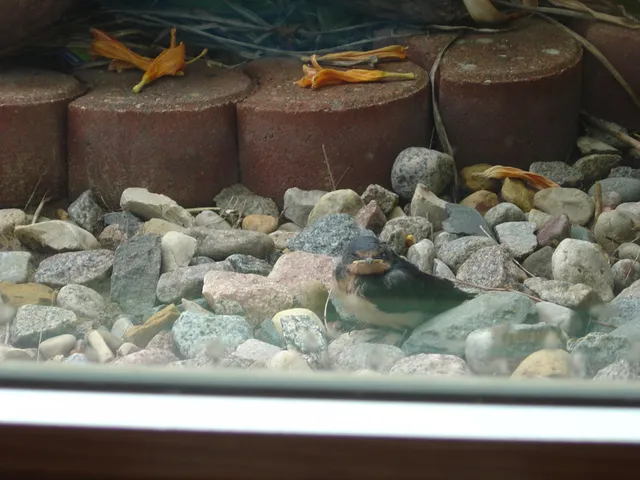 $1,149,000 | 19800 Stephan Drive, Starbuck, MN 56381