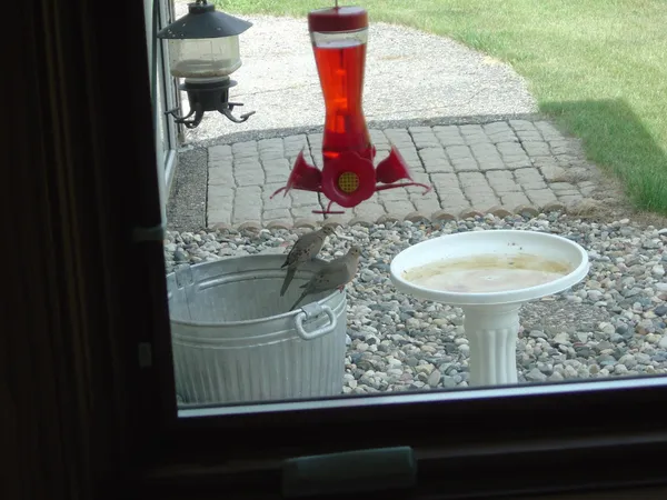 $1,149,000 | 19800 Stephan Drive, Starbuck, MN 56381