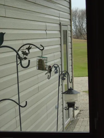 $1,149,000 | 19800 Stephan Drive, Starbuck, MN 56381