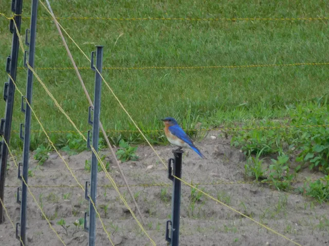 $1,149,000 | 19800 Stephan Drive, Starbuck, MN 56381