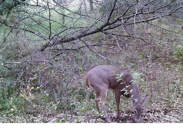 $1,149,000 | 19800 Stephan Drive, Starbuck, MN 56381