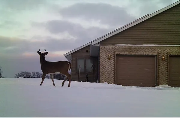 $1,149,000 | 19800 Stephan Drive, Starbuck, MN 56381