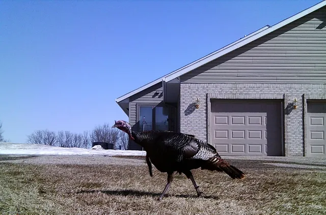 $1,149,000 | 19800 Stephan Drive, Starbuck, MN 56381