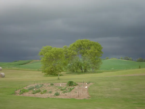 $1,149,000 | 19800 Stephan Drive, Starbuck, MN 56381