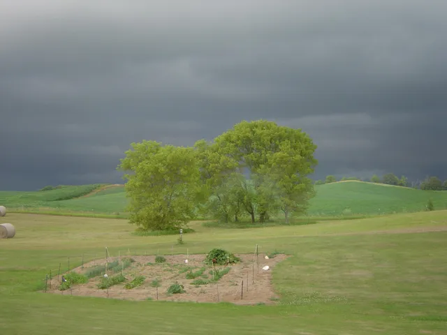 $1,149,000 | 19800 Stephan Drive, Starbuck, MN 56381