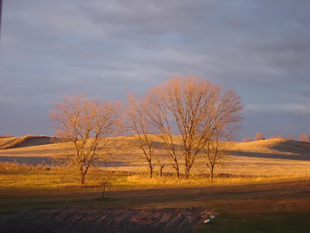 $1,149,000 | 19800 Stephan Drive, Starbuck, MN 56381