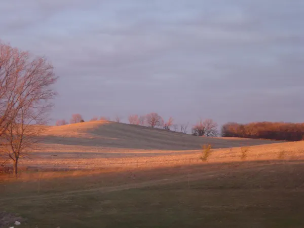 $1,149,000 | 19800 Stephan Drive, Starbuck, MN 56381