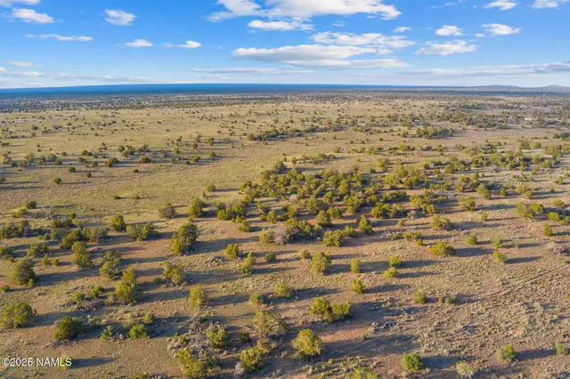 a view of city and ocean
