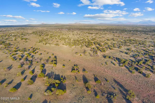 a view of a lake with a beach