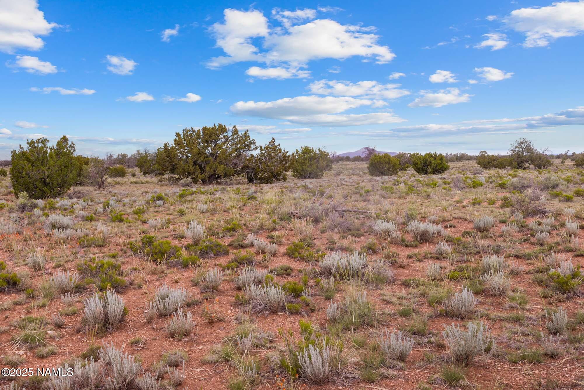 4532 East Indian Meadows Road Williams, AZ 86046 - Photo 23 of 37 a view of a sky