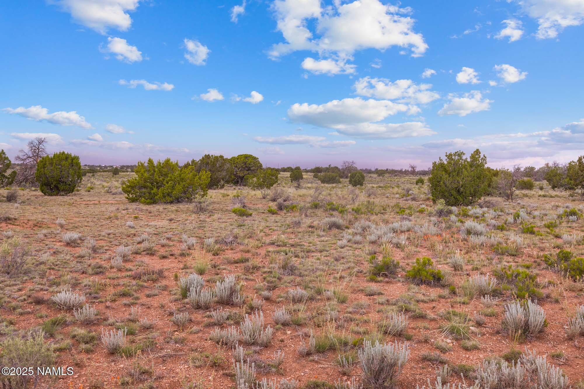 4532 East Indian Meadows Road Williams, AZ 86046 - Photo 24 of 37 a view of a bunch of trees