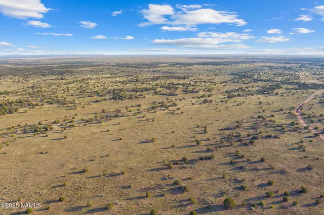 a view of beach and ocean