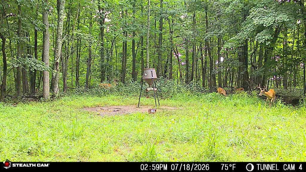 1271 A Tunnel Ridge Road Grayson, KY 41143 - Photo 58 of 134 7.22.26 02