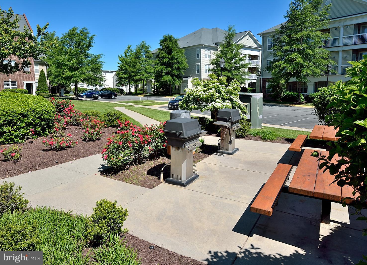 42393 Goldenseal Square, Unit 42393 Ashburn, VA 20148 - Photo 16 of 18 Picnic tables & grilling area.