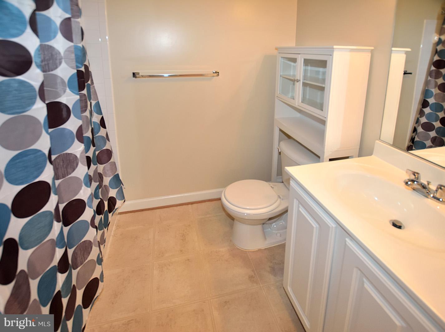 42393 Goldenseal Square, Unit 42393 Ashburn, VA 20148 - Photo 9 of 18 Bath