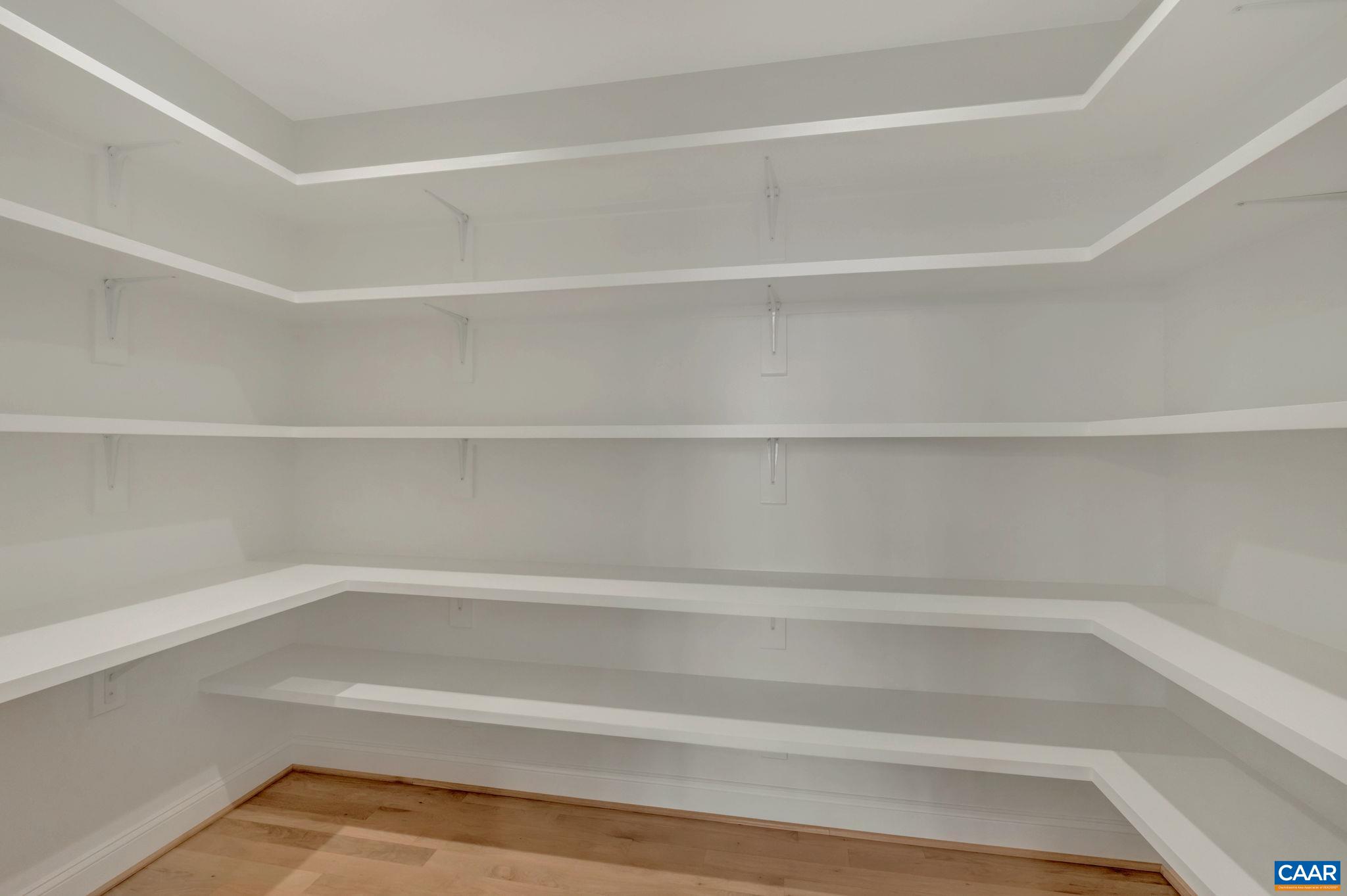 2534-4 Montgomery Ridge Road Charlottesville, VA 22911 - Photo 6 of 37 a view of a closet with shelves