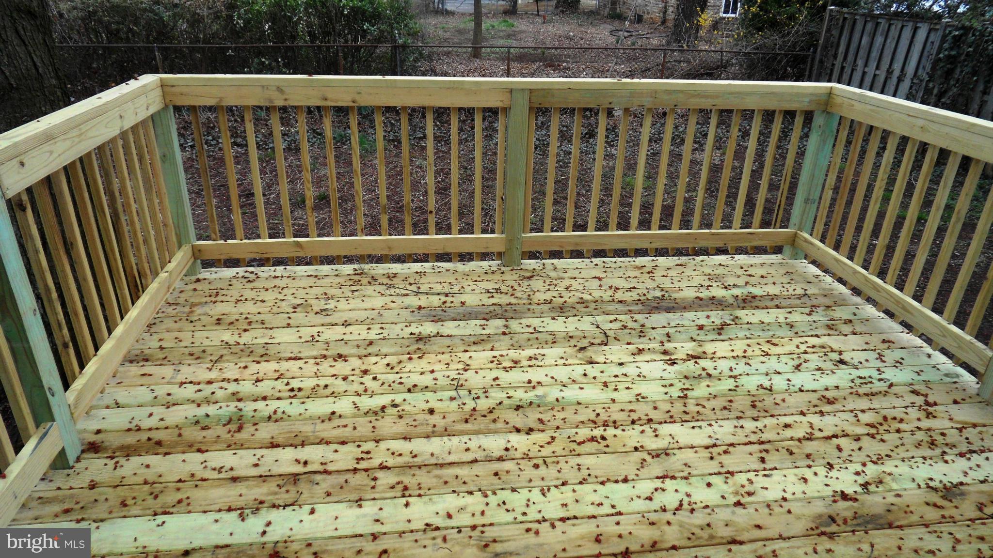 3606 Florida Road Baltimore, MD 21244 - Photo 14 of 29 New Deck