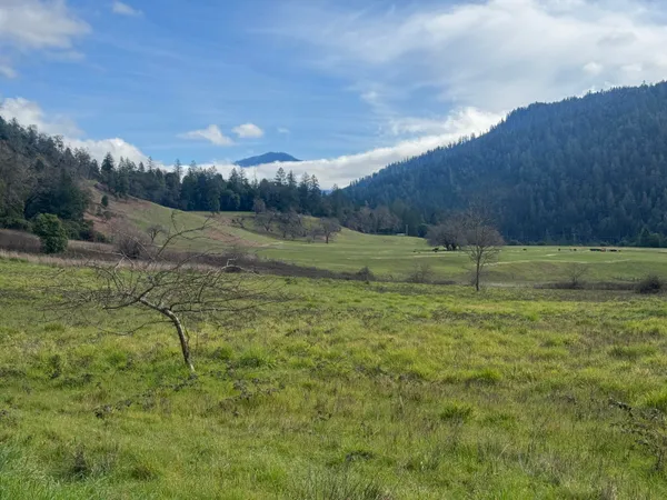 $138,000 | 176 Cherry Tree Lane, Salyer, CA 95563