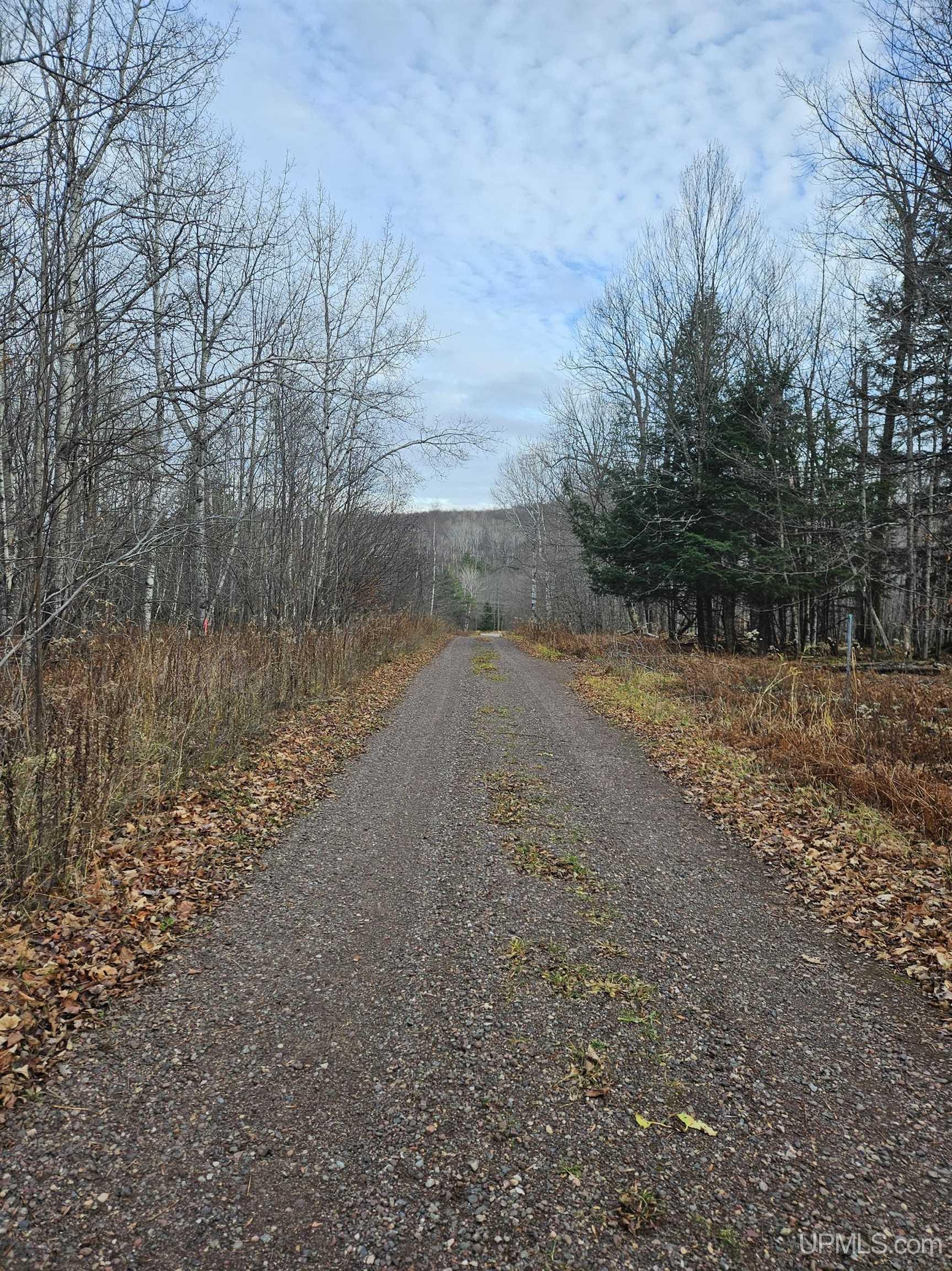 Tbd Tbd Road Bessemer, MI 49911 - Photo 10 of 13