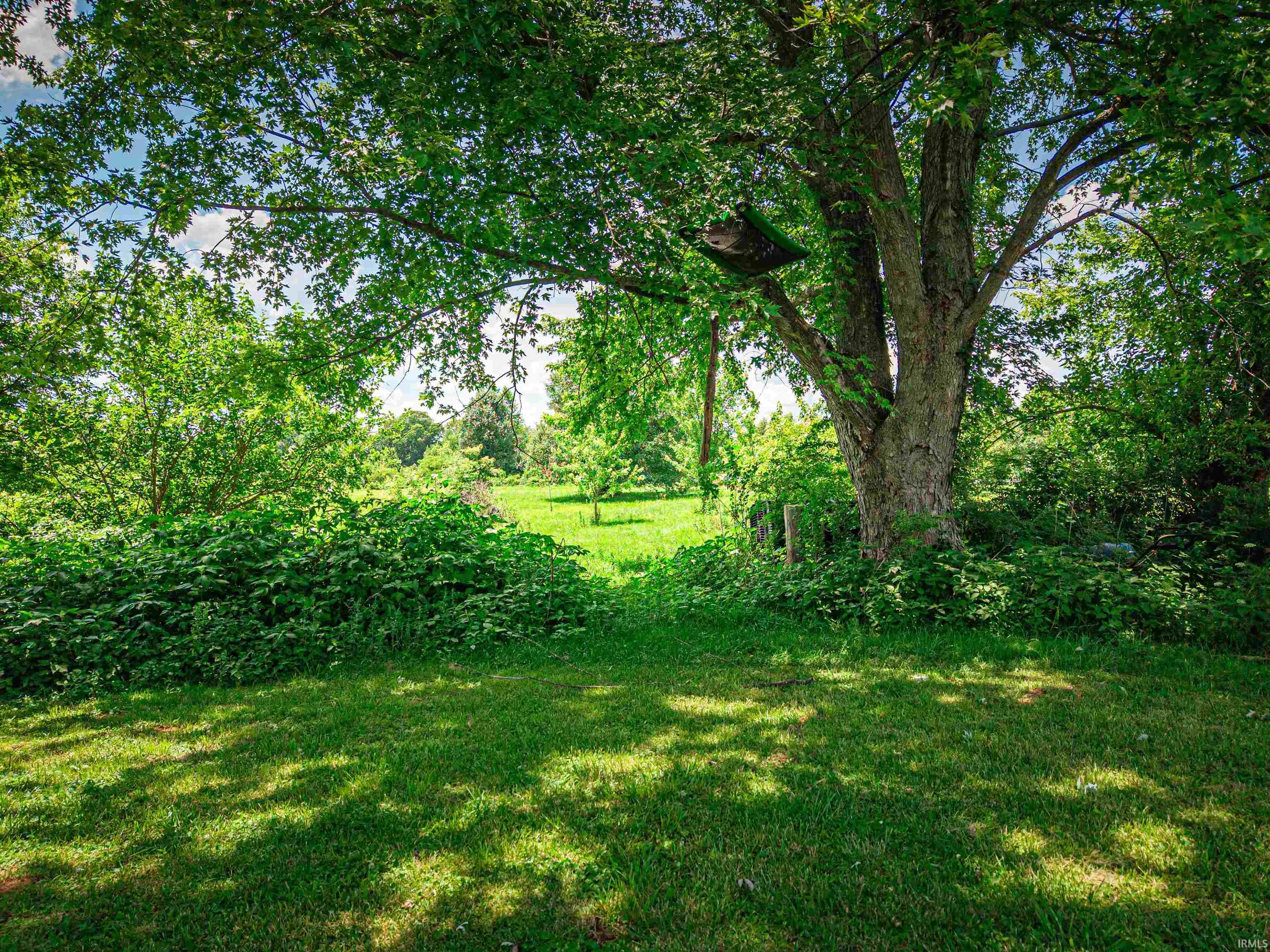 2311 Lashbrook Road Boonville, IN 47601 - Photo 42 of 49
