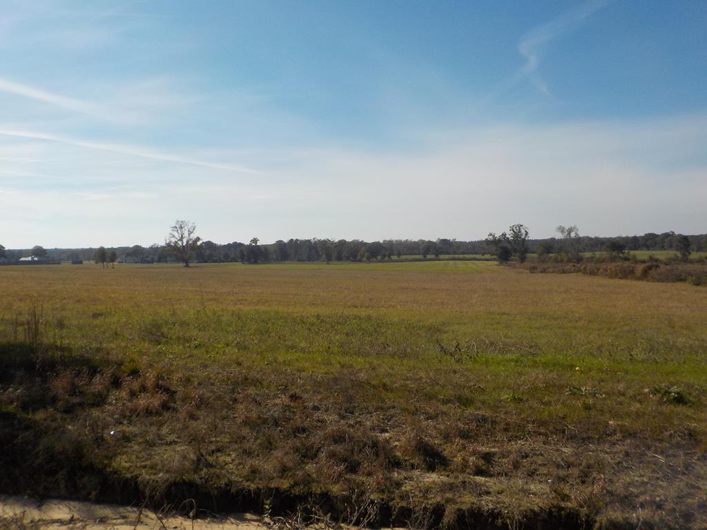Lot 13 -ac Reardon Road Dothan, AL 36301 - Photo 1 of 1