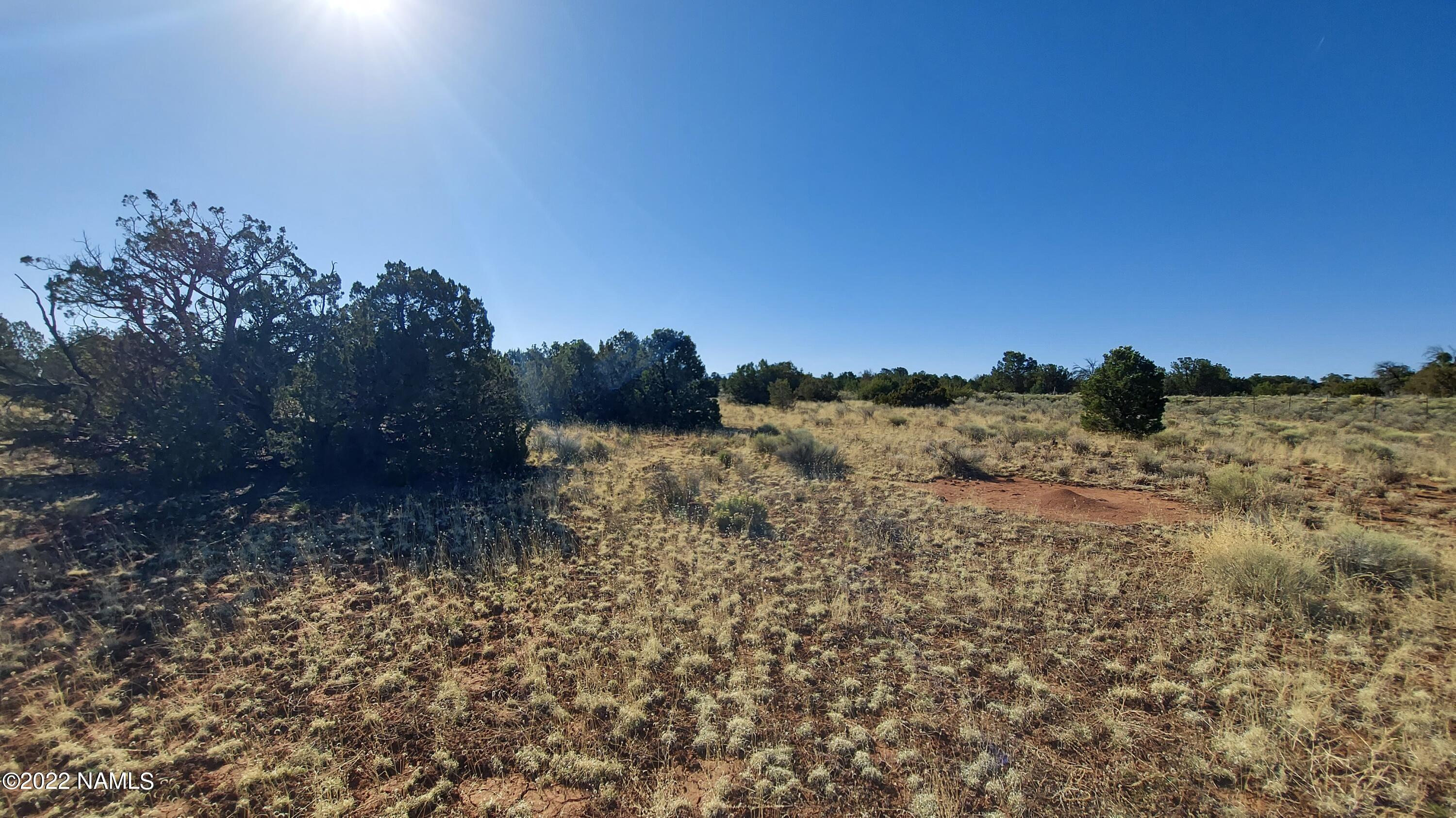Parcel # Parcel Williams, AZ 86046 - Photo 14 of 14 20220408_084800