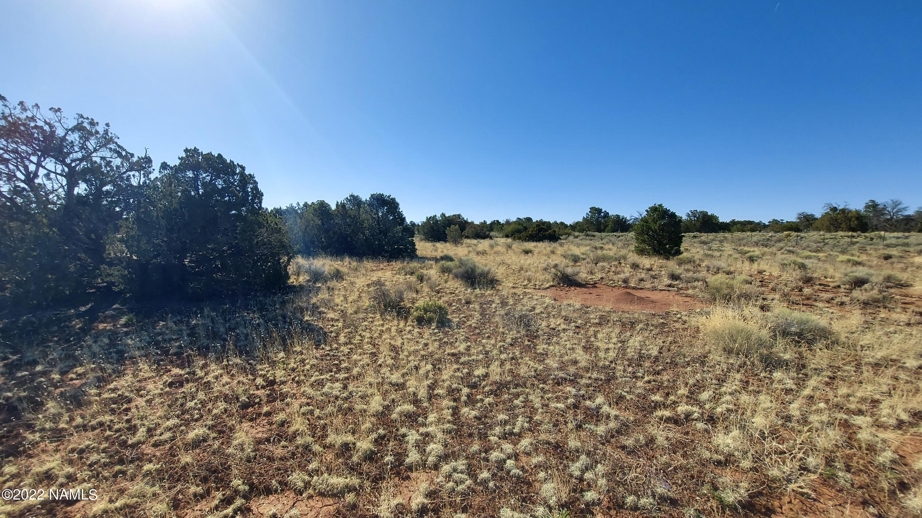 Parcel # Parcel Williams, AZ 86046 - Photo 8 of 14 20220408_084807