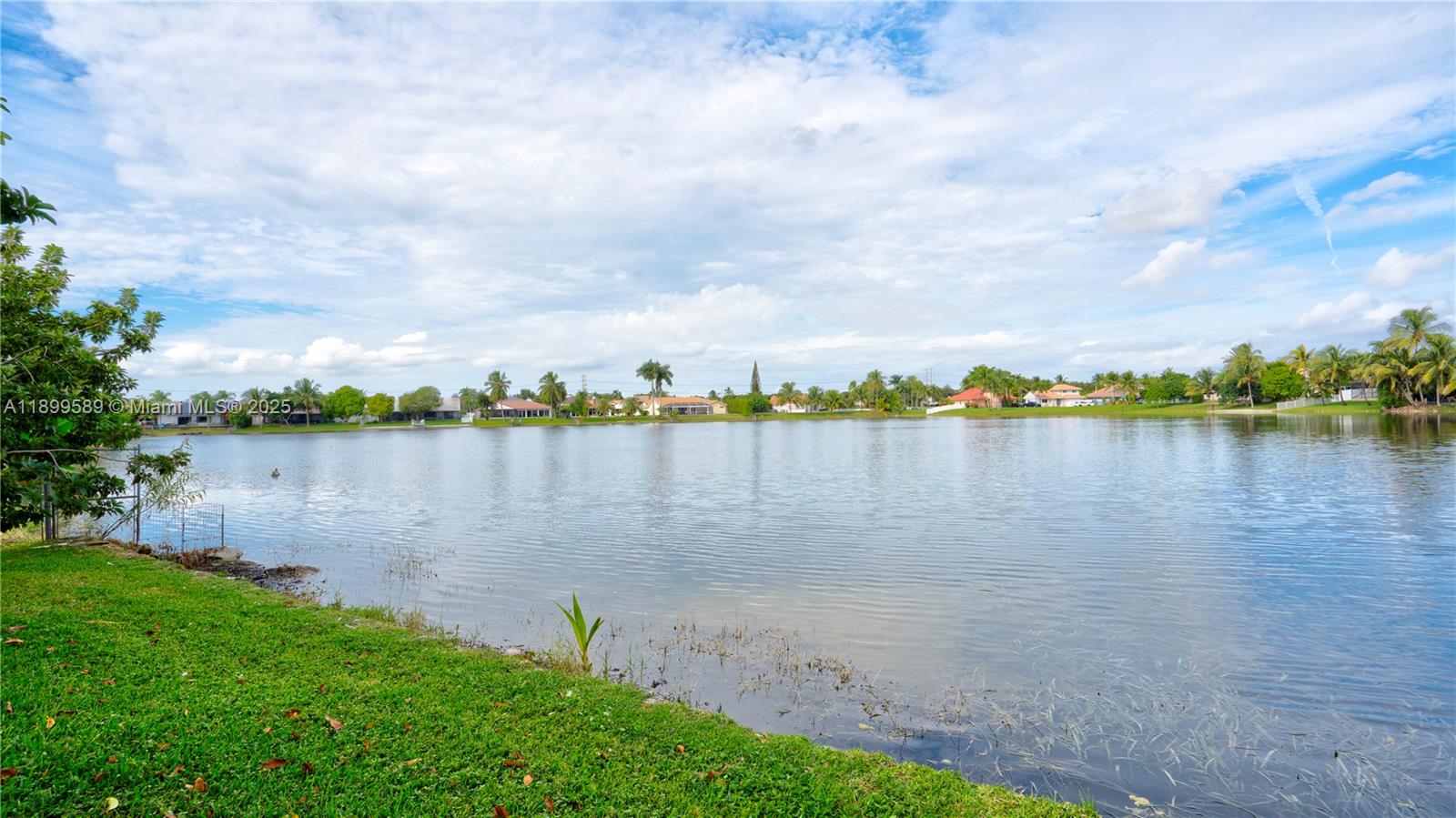 6255 Hawkes Bluff Avenue Davie, FL 33331 - Photo 16 of 51 a view of a lake with houses in the back