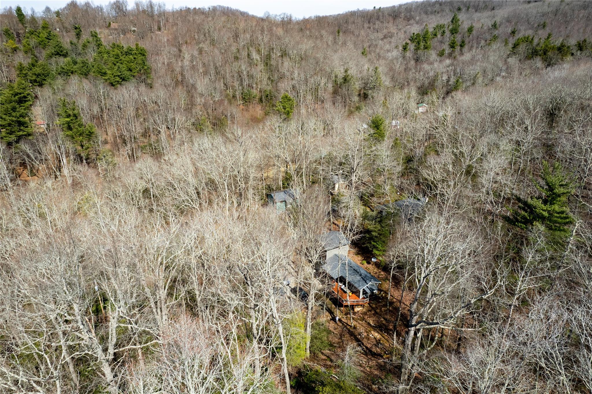 99 Galax Ridge Loop Road Spruce Pine, NC 28777 - Photo 33 of 35 Gallery Image 33