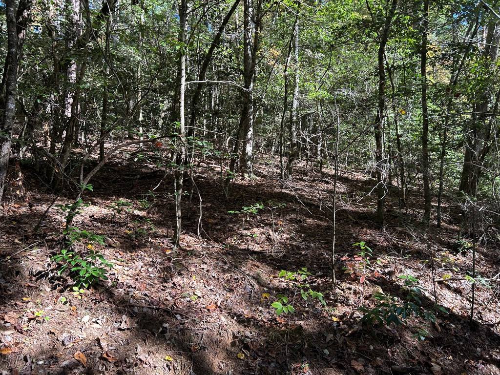 Lot 6 Beaverdam Loop Murphy, NC 28906 - Photo 2 of 3