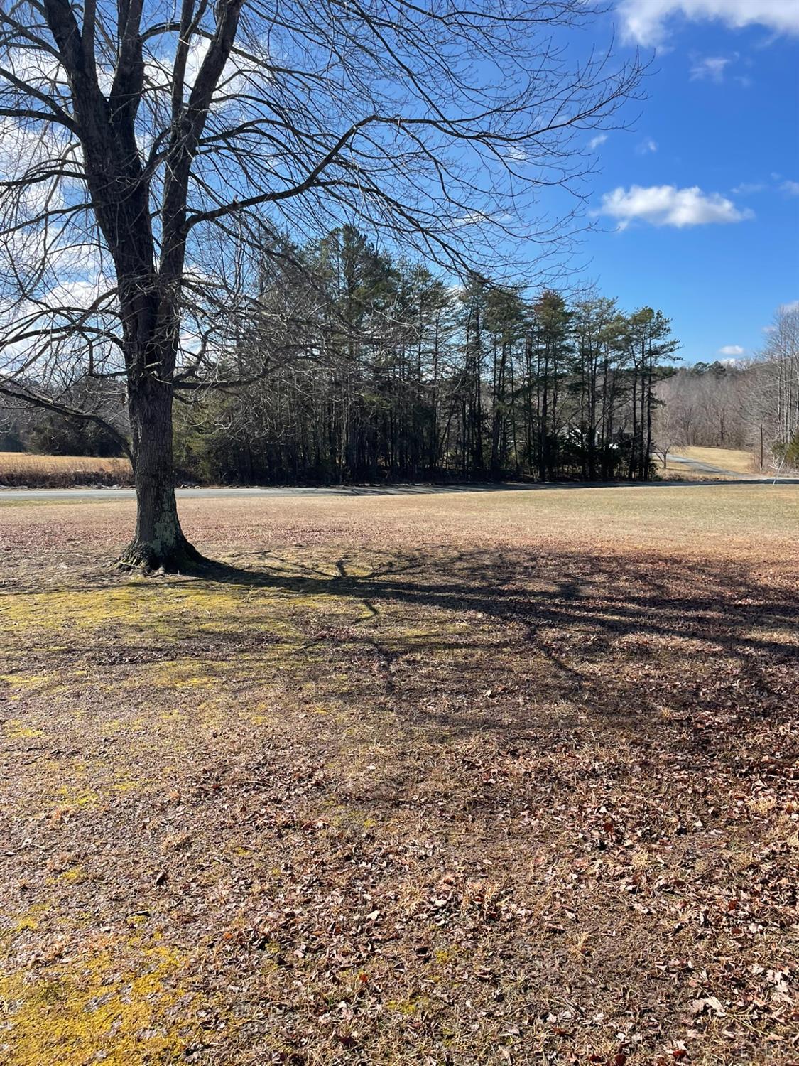 2037 Piney Grove Road Gretna, VA 24557 - Photo 11 of 18 a view of a yard
