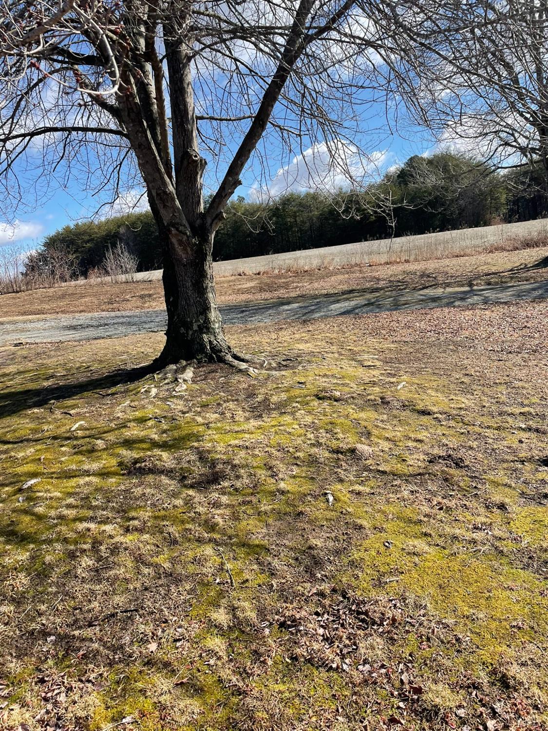 2037 Piney Grove Road Gretna, VA 24557 - Photo 12 of 18