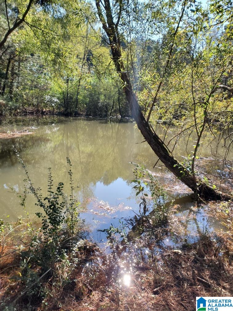 681 Graves Cemetery Road Blountsville, AL 35031 - Photo 19 of 22