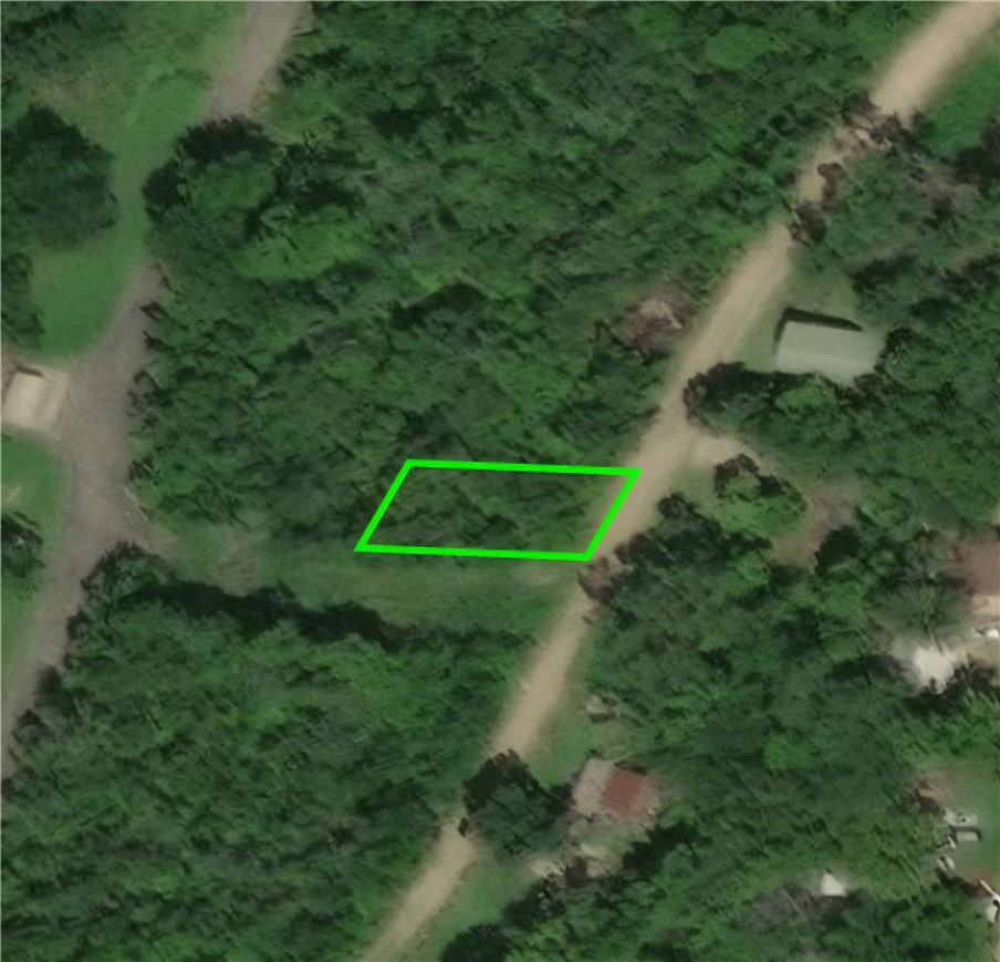 Lot 1 Hempstead 197 Road Saratoga, AR 71859 - Photo 4 of 10 Gallery Image 4