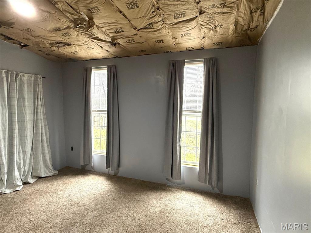 1010 Mead Lane Ironton, MO 63650 - Photo 21 of 42
