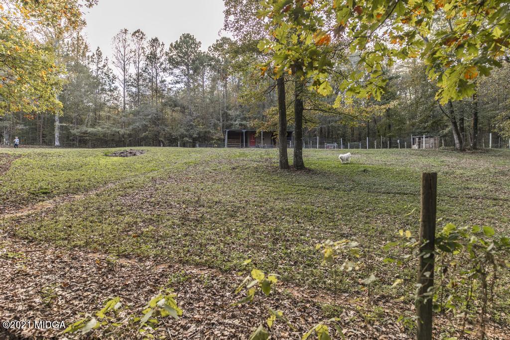 7085 Colaparchee Road Macon, GA 31220 - Photo 56 of 57 a view of a tree in a yard