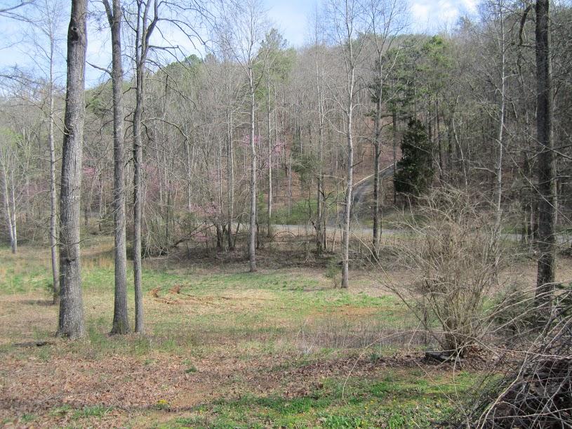 8502 Candies Creek Ridge Road, Unit 13 Charleston, TN 37310 - Photo 11 of 11 d1af3182-b8c7-4daf-85a4-6a1711ded148