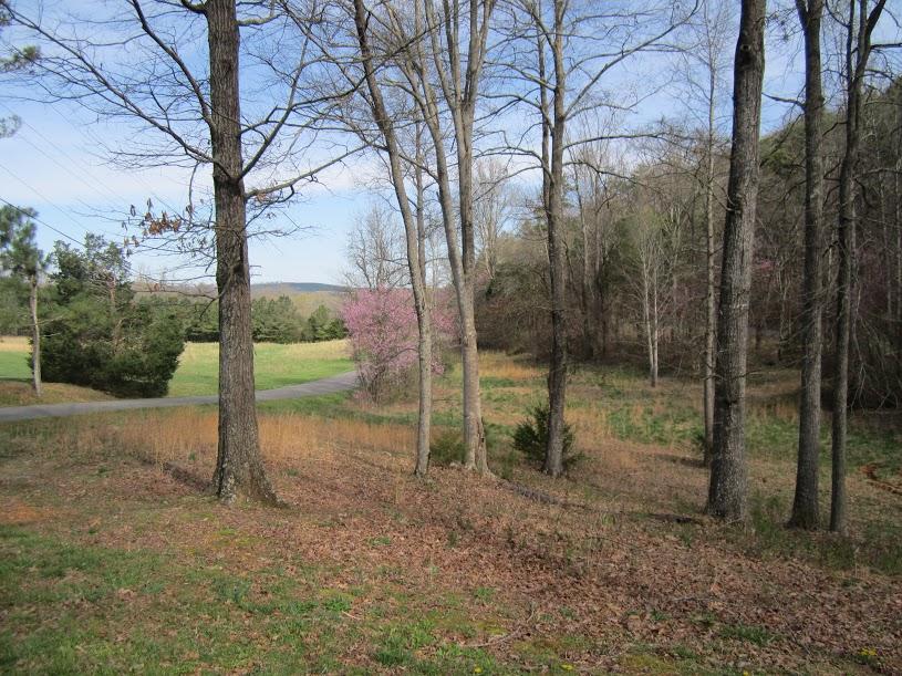 8502 Candies Creek Ridge Road, Unit 13 Charleston, TN 37310 - Photo 4 of 11 2a4567ce-c382-4399-9ebc-88ecc95323e9