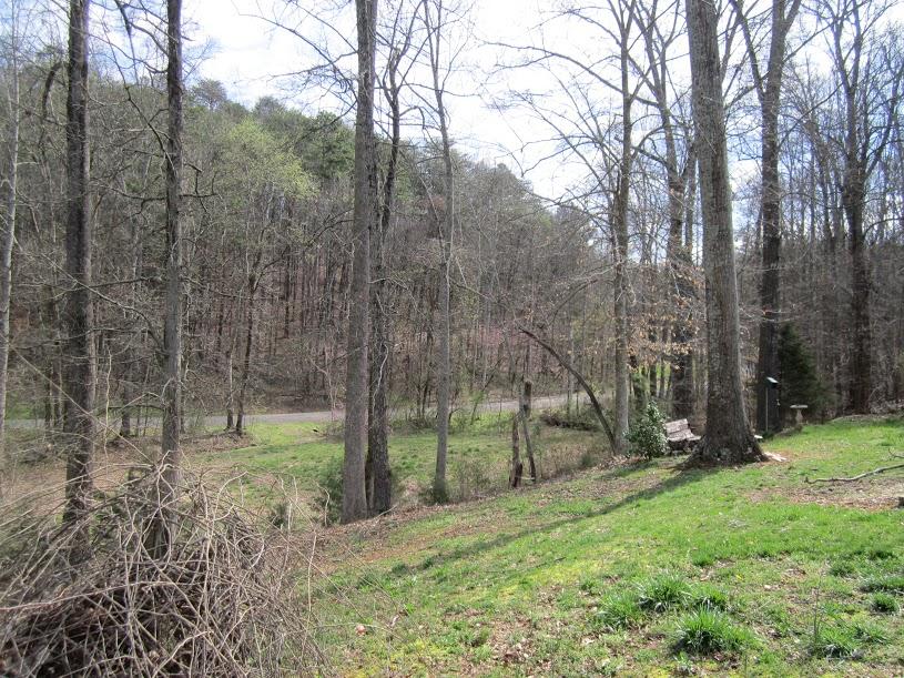8502 Candies Creek Ridge Road, Unit 13 Charleston, TN 37310 - Photo 5 of 11 3