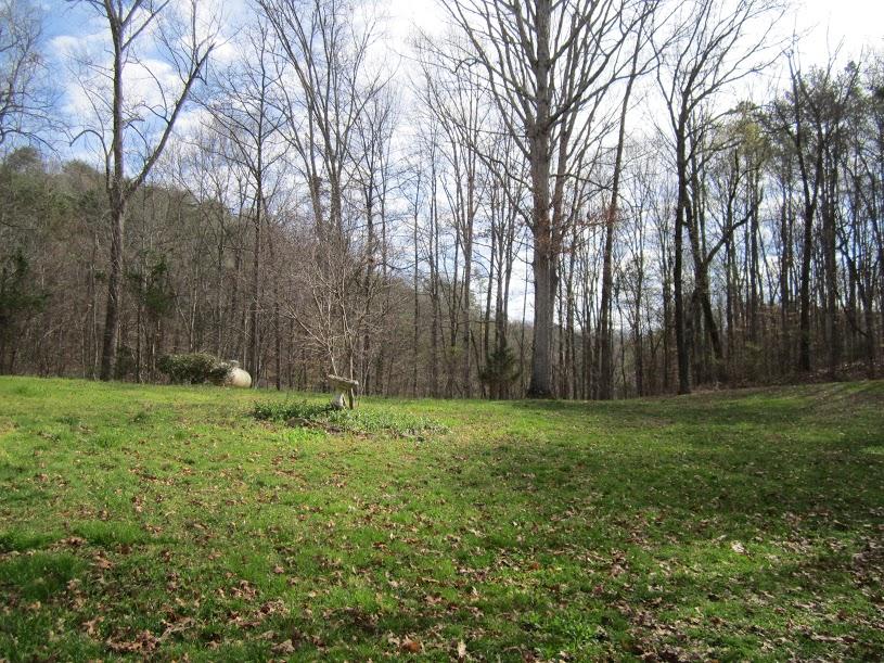 8502 Candies Creek Ridge Road, Unit 13 Charleston, TN 37310 - Photo 6 of 11 6b554950-86dd-4e1e-ae85-b13c7da53833