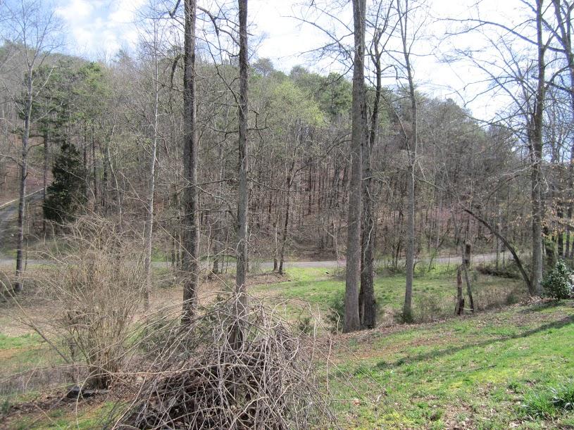 8502 Candies Creek Ridge Road, Unit 13 Charleston, TN 37310 - Photo 7 of 11 7bd5ad58-022d-4a20-9302-1663a94a639d