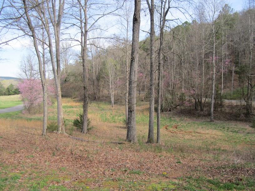 8502 Candies Creek Ridge Road, Unit 13 Charleston, TN 37310 - Photo 8 of 11 9d17e0e2-0336-4ce8-909e-8bcdef3ad551