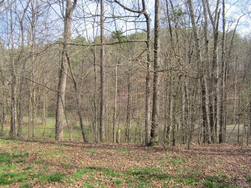 8502 Candies Creek Ridge Road, Unit 13 Charleston, TN 37310 - Photo 10 of 11 8811a5f7-f79e-4679-9601-8066b91a2e20