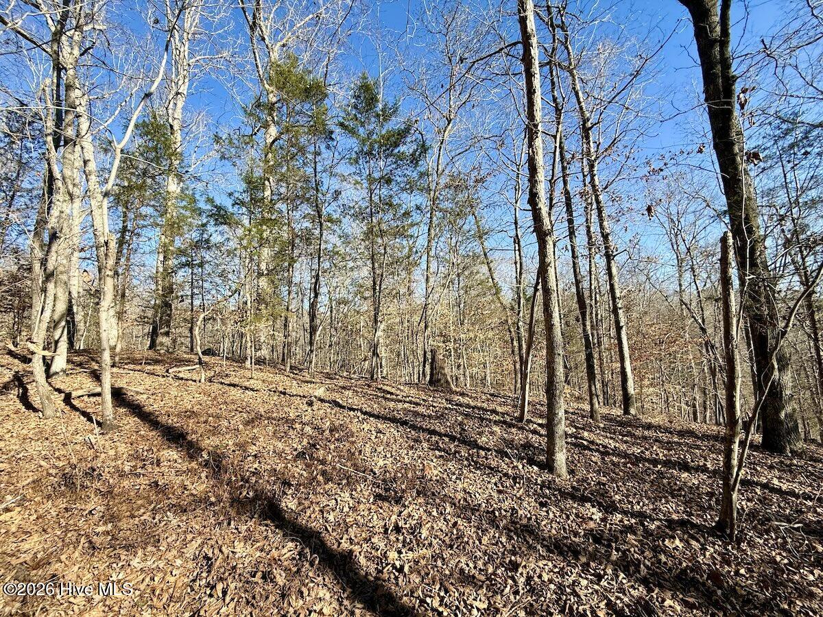 666 Solomon Road Leasburg, NC 27291 - Photo 11 of 49 11