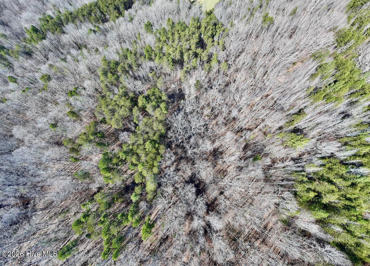 666 Solomon Road Leasburg, NC 27291 - Photo 13 of 49 13